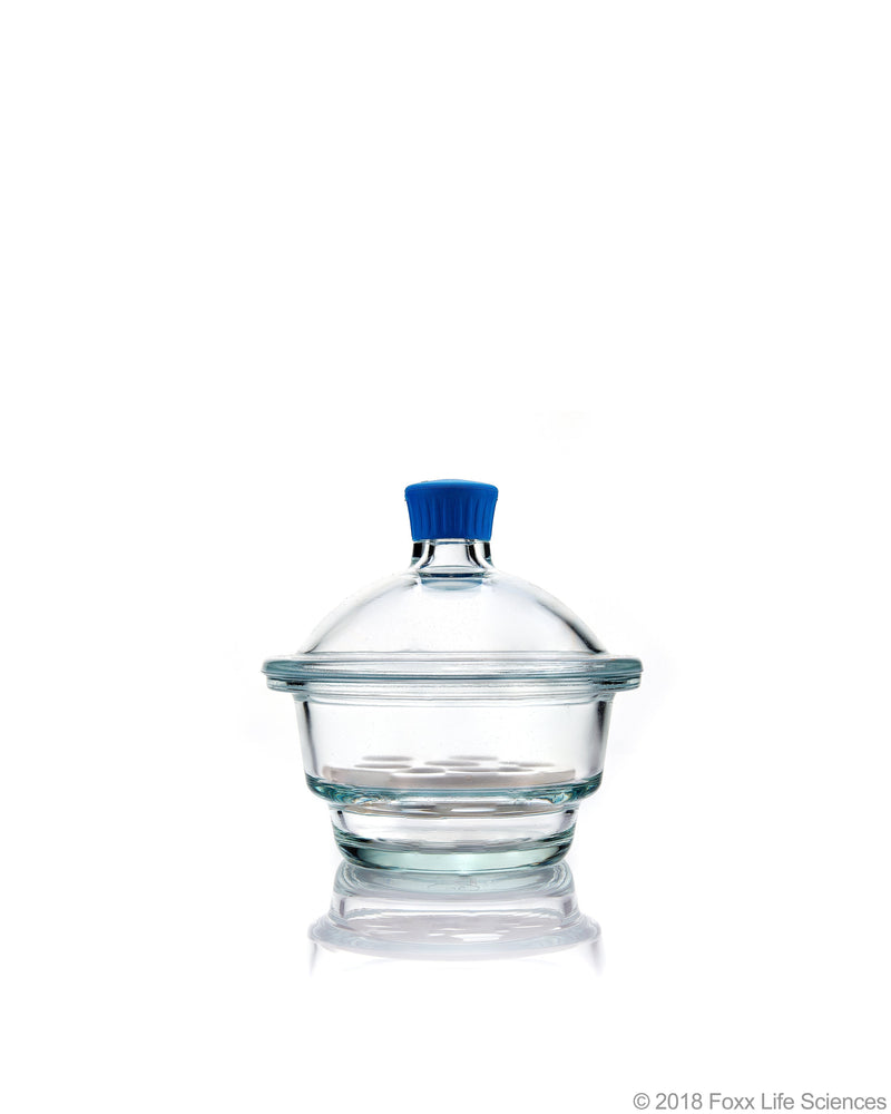 Borosil Borosilicate Glass Desiccator with Porcelain Plate - LabShopNow.com