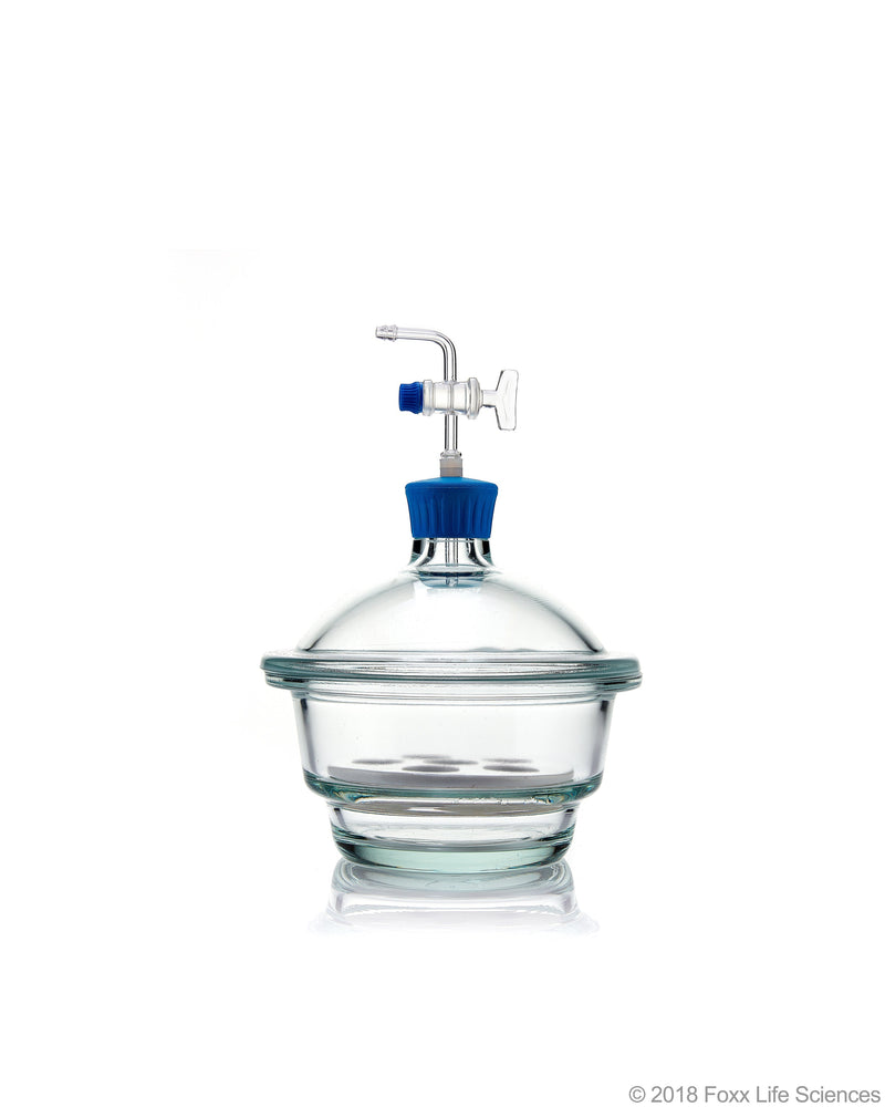 Borosil Vacuum Borosilicate Glass Desiccator with PTFE Stopcock - LabShopNow.com
