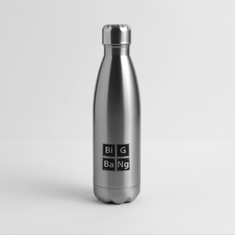 Insulated Stainless Steel Water Bottle - silver
