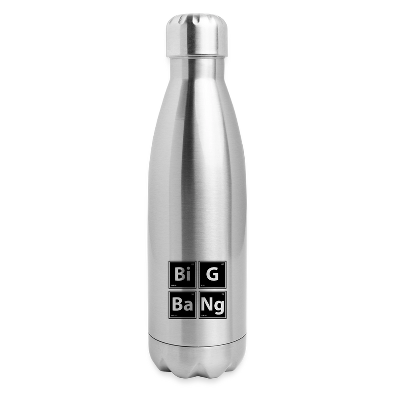 Insulated Stainless Steel Water Bottle - silver