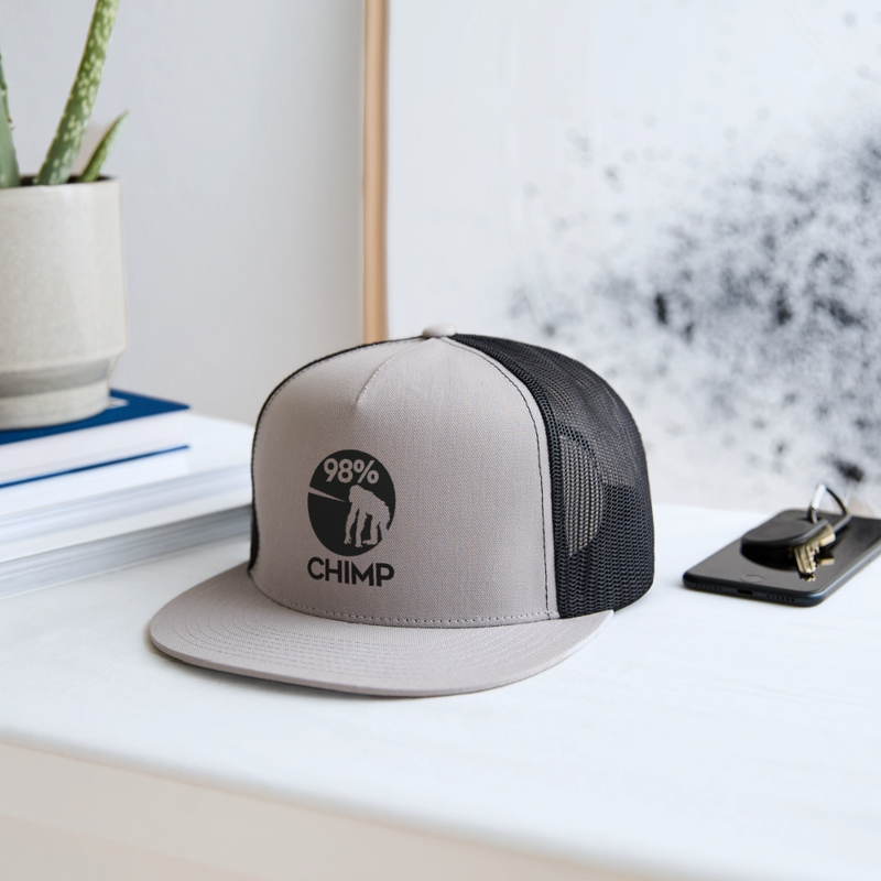 Trucker Hat - gray/black