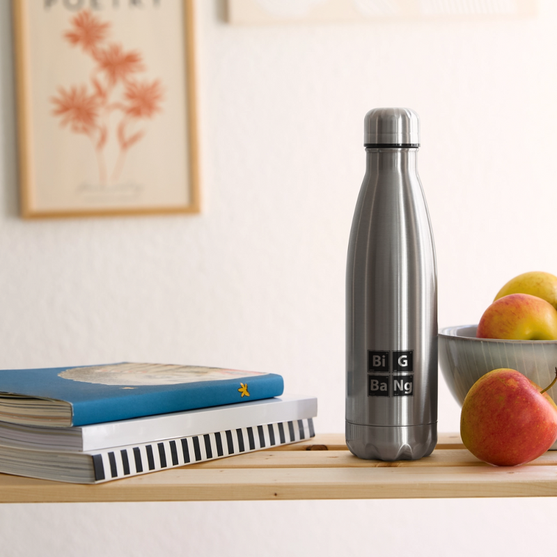 Insulated Stainless Steel Water Bottle - silver