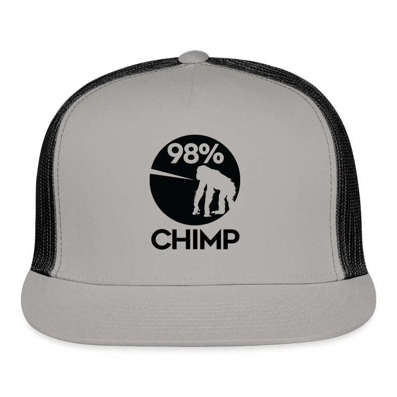 Trucker Hat - gray/black