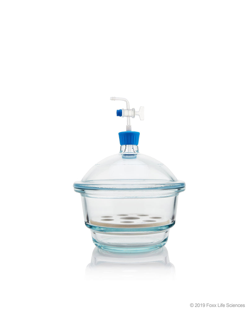 Borosil Vacuum Borosilicate Glass Desiccator with PTFE Stopcock - LabShopNow.com