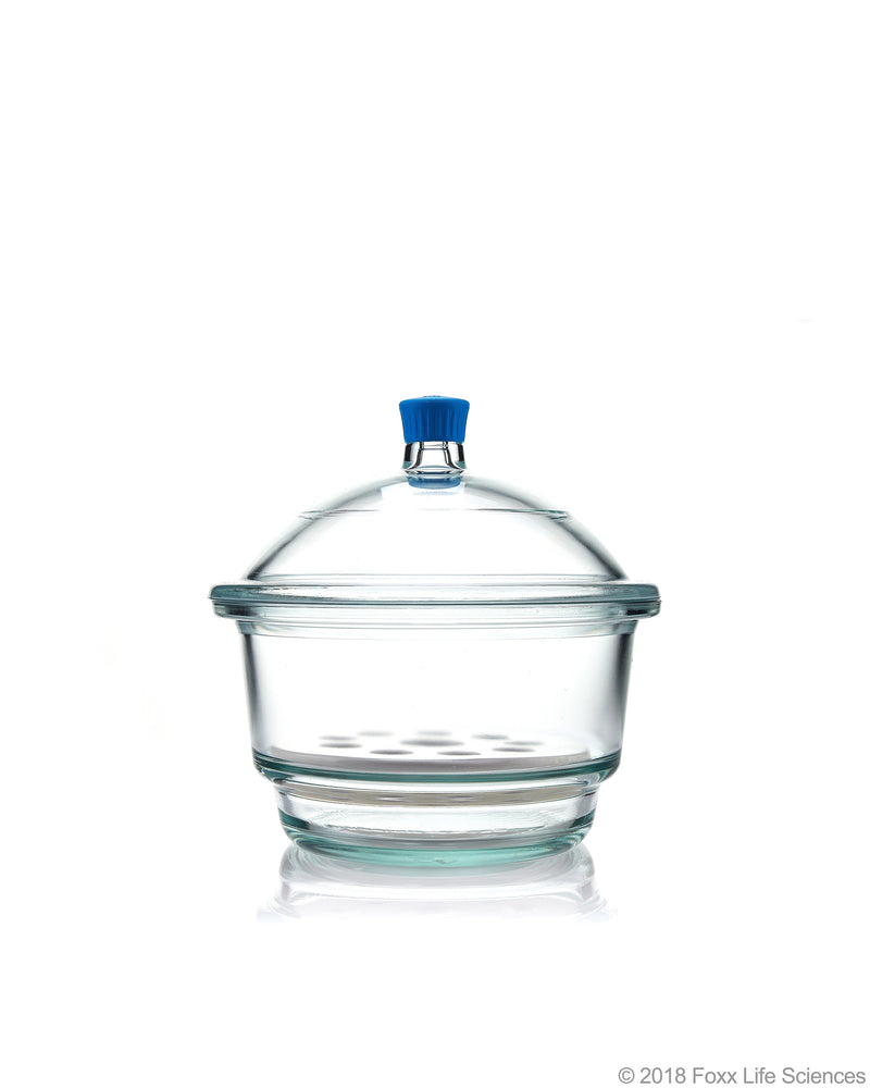 Borosil Borosilicate Glass Desiccator with Porcelain Plate - LabShopNow.com