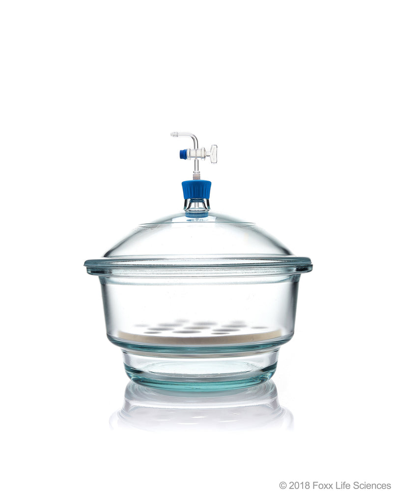 Borosil Vacuum Borosilicate Glass Desiccator with PTFE Stopcock - LabShopNow.com