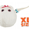 Egg Cell XL Size & Mini Magnetic Sperm Cell - GIANTmicrobes® Plush Toy