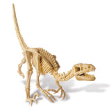 "Dig A Dinosaur Skeleton: Velociraptor" - Science Kit  - LabRatGifts - 2