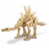 "Dig A Dinosaur Skeleton: Stegosaurus" - Science Kit  - LabRatGifts - 2
