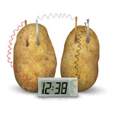 "Potato Clock" - Science Kit  - LabRatGifts - 2
