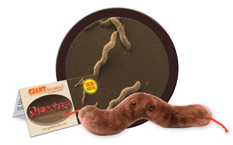 Diarrhea (Campylobacter Jejuni) - GIANTmicrobes® Plush Toy Default Title - LabRatGifts - 1