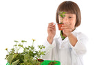 "Botany: Experimental Greenhouse" - Science Kit  - LabRatGifts - 5