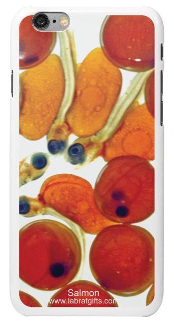 "Salmon" - iPhone 6/6s Case Default Title - LabRatGifts - 2