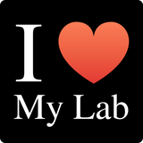 "I ♥ My Lab" (white) - Women's T-Shirt  - LabRatGifts - 11