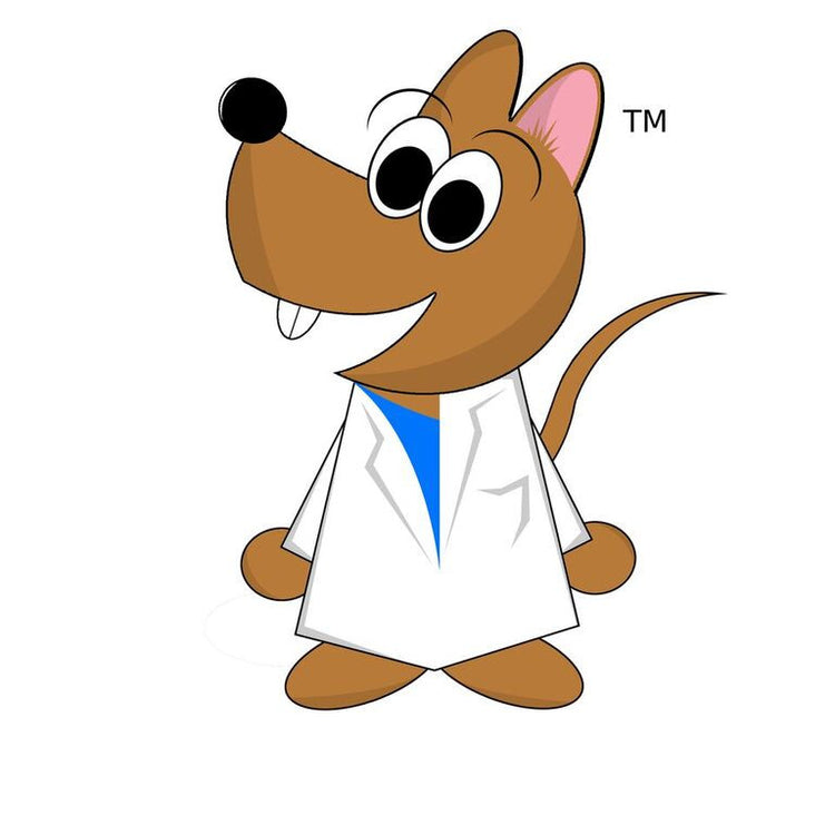 Matt - The Big Cheese