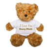 "I Love You Beary Much" - Teddy Bear SoftToy Plushy - white