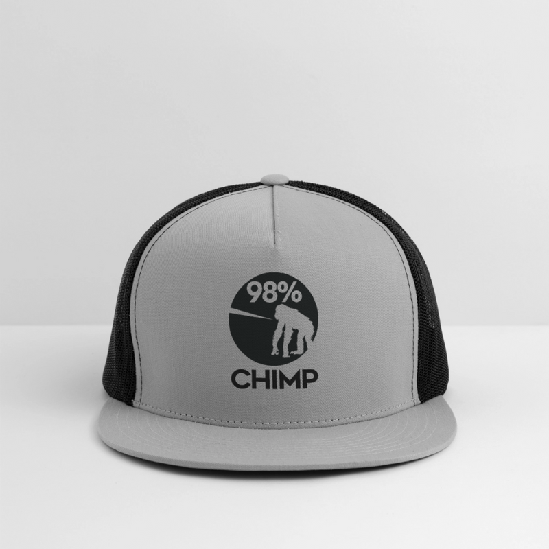 Trucker Hat - gray/black