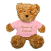 "Element of Cuteness Bearium (Br) " - Teddy Bear SoftToy Plushy - petal pink