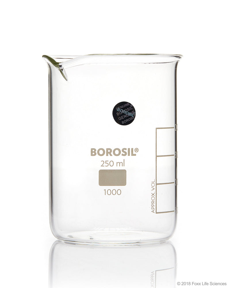 Borosil Griffin Low-Form Beakers with Spout - LabShopNow.com