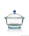 Borosil Borosilicate Glass Desiccator with Porcelain Plate - LabShopNow.com
