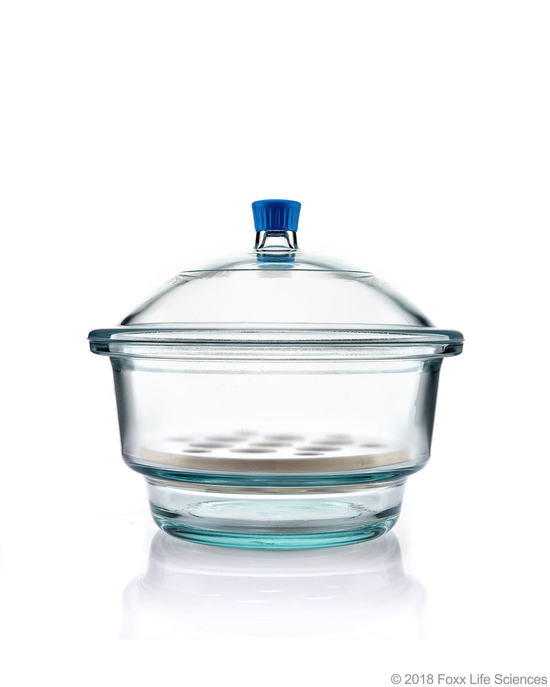 Borosil Borosilicate Glass Desiccator with Porcelain Plate - LabShopNow.com