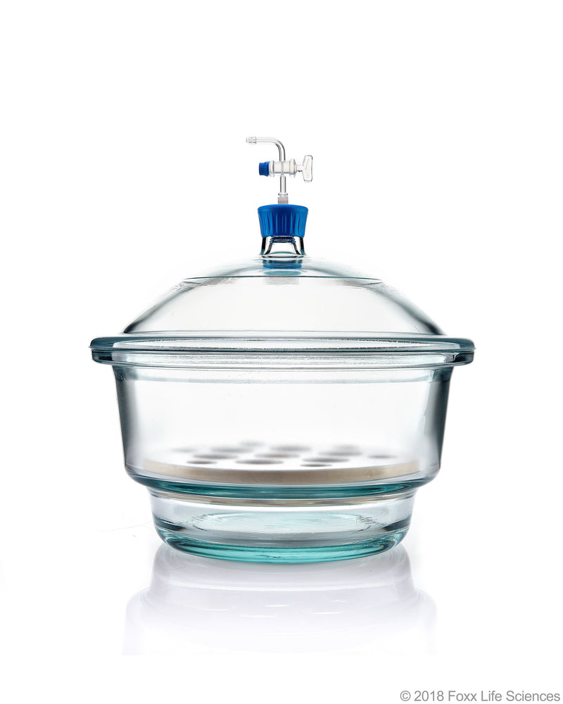Borosil Vacuum Borosilicate Glass Desiccator with PTFE Stopcock - LabShopNow.com