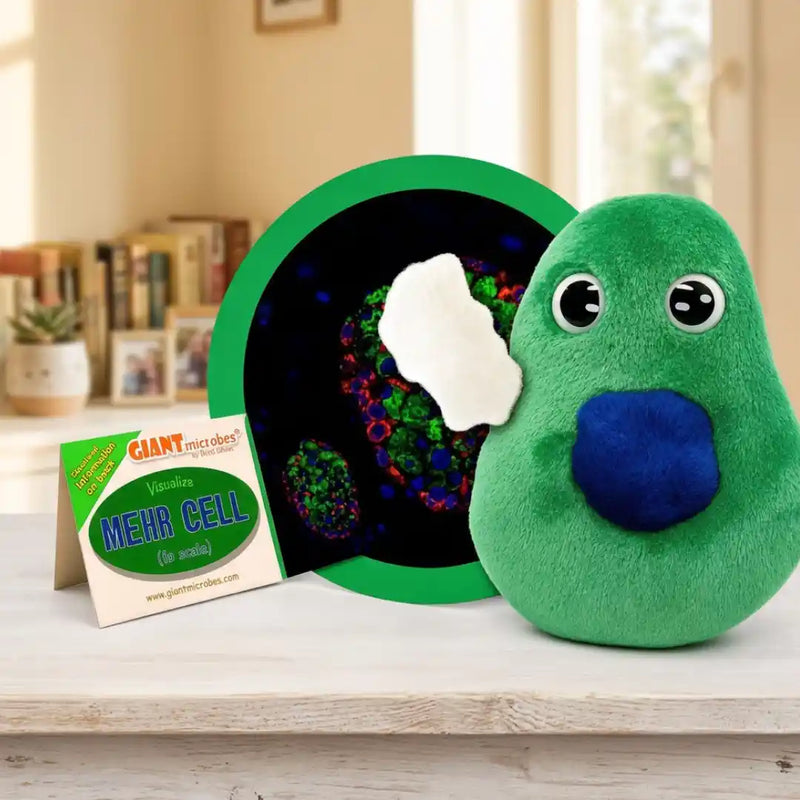 Beta Cell (Β Cells) - GIANTmicrobes® Plush Toy