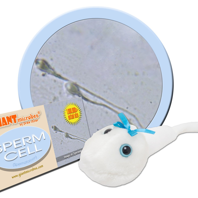 Plush Microscope Sperm Cell (Spermatozoon) - GIANTmicrobes® Plush Toy ... | LabRatGifts ...