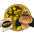 Image for GM505