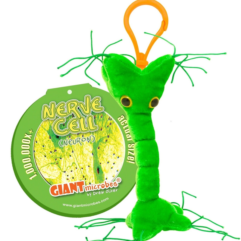 Nerve Cell (Neuron) - GIANTmicrobes® Keychain - Plush... | LabRatGifts ...