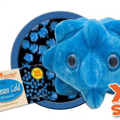 Common Cold (Rhinovirus) XL Size - GIANTmicrobes® Plush Toy | GMXL101