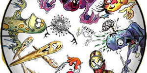 Image for NAN006