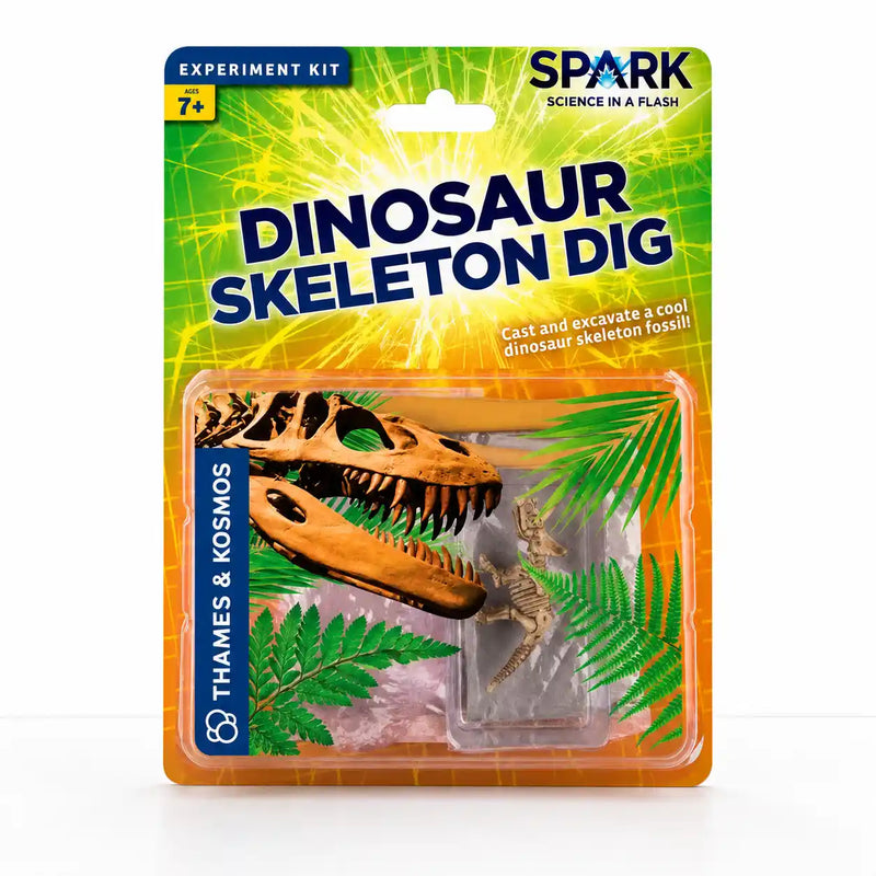 "Dinosaur Skeleton Dig" - Science Kit