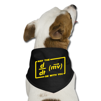 "May the Force be with You" - Dog Bandana black / One size - LabRatGifts - 1