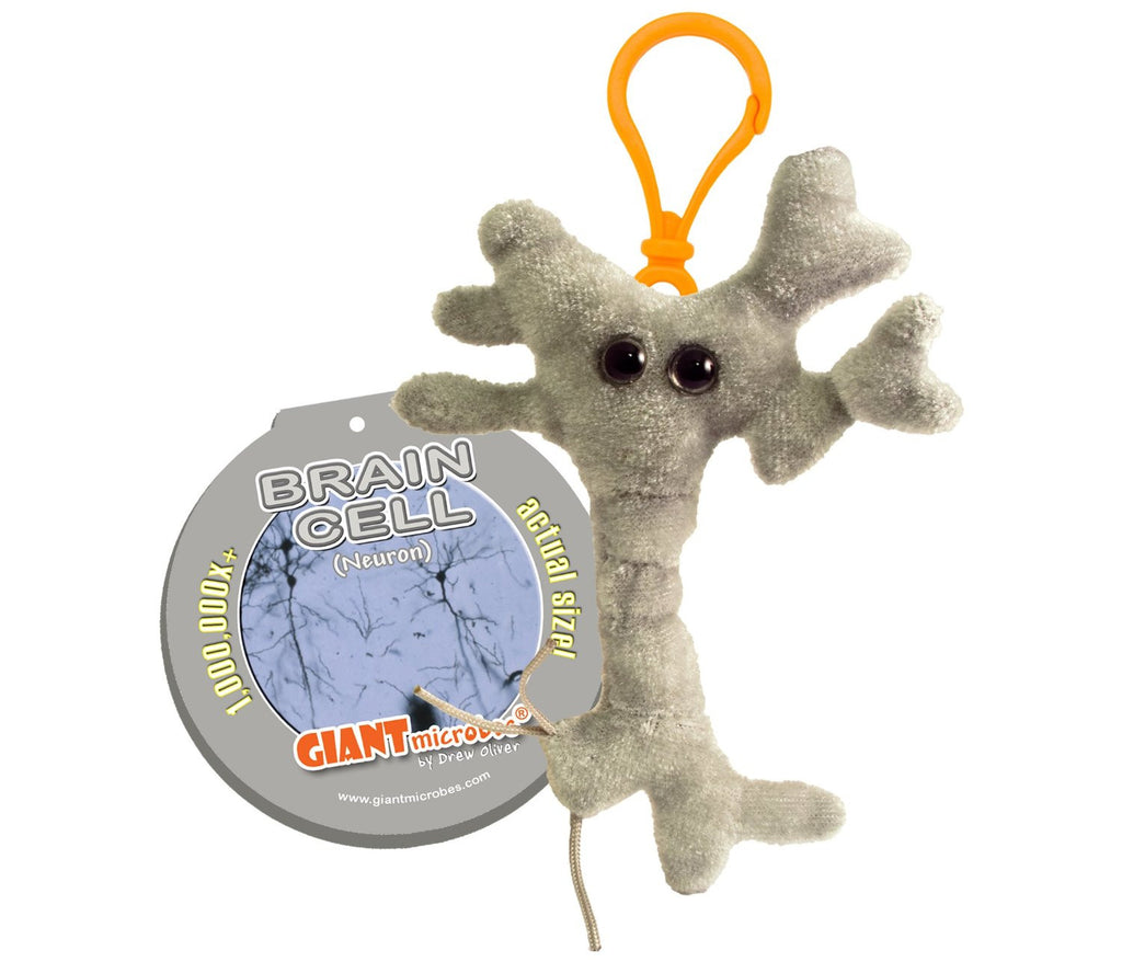 Brain Cell (Neuron) - GIANTmicrobes® Keychain  - LabRatGifts