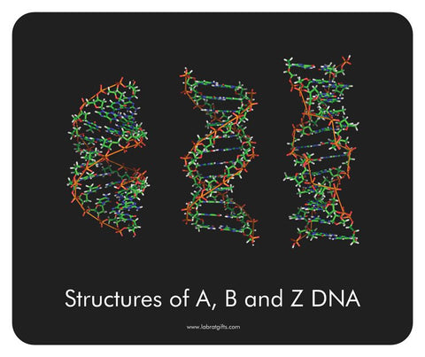 "Structures of A, B, and Z DNA" - Mouse Pad Default Title - LabRatGifts