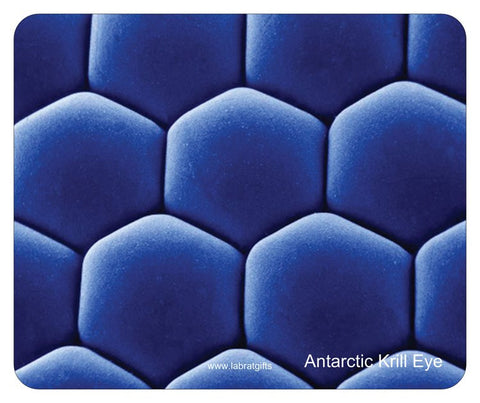 "Antarctic Krill Eye" - Mouse Pad Default Title - LabRatGifts