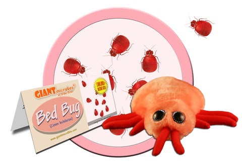 Bed Bug (Cimex lectularius) - GIANTmicrobes® Plush Toy Default Title - LabRatGifts - 1