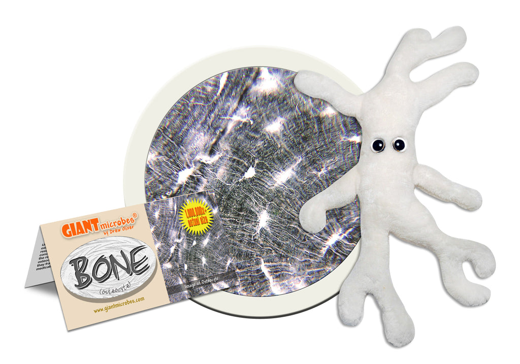 Bone Cell (Osteocyte) - GIANTmicrobes® Plush Toy Default Title - LabRatGifts - 1