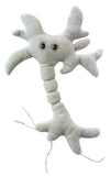 Brain Cell (Neuron) - GIANTmicrobes® Plush Toy  - LabRatGifts - 2