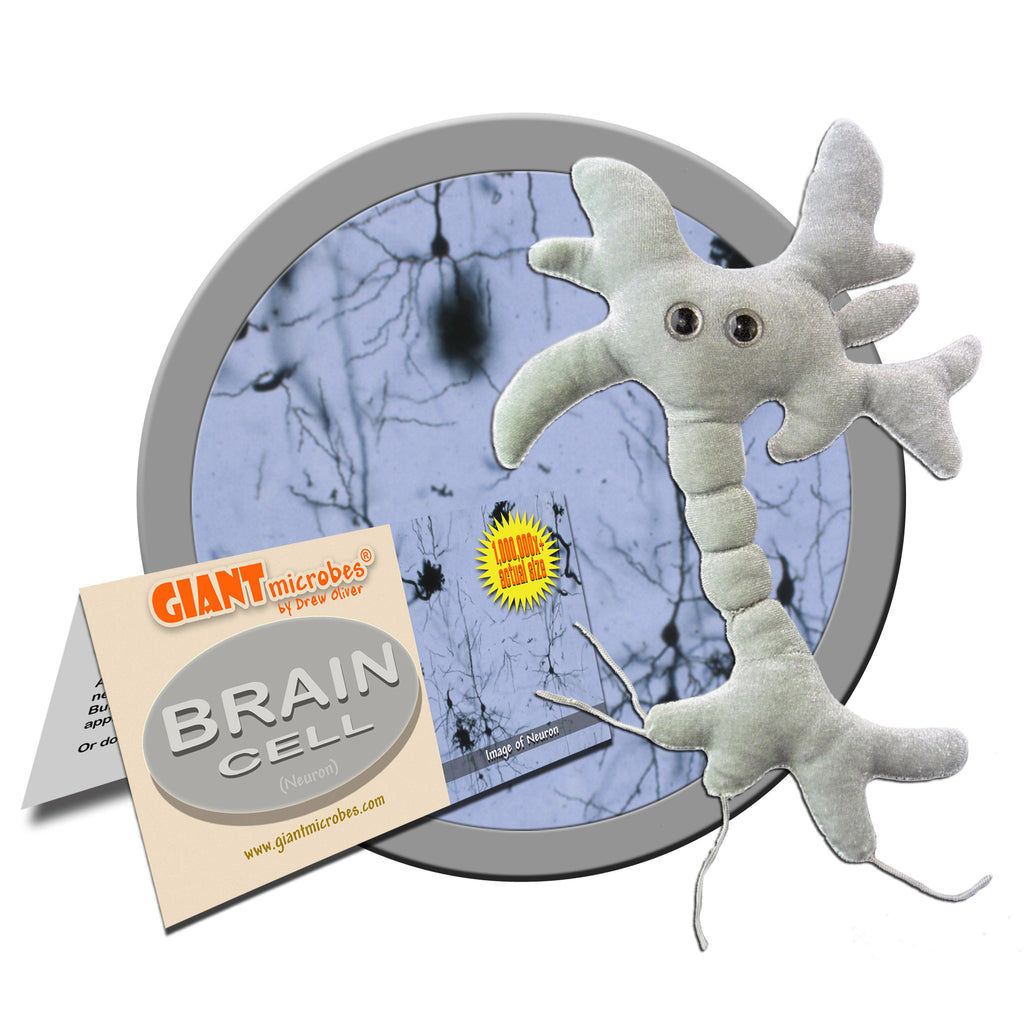 Brain Cell (Neuron) - GIANTmicrobes® Plush Toy Default Title - LabRatGifts - 1