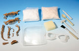 "Dinosaur Fossils" - Science Kit  - LabRatGifts - 4