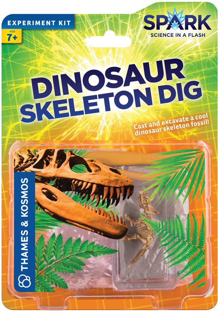 "Dinosaur Skeleton Dig" - Science Kit  - LabRatGifts - 1