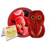 Flesh-Eating Disease (Streptococcus pyogenes) - GIANTmicrobes® Plush Toy Default Title - LabRatGifts - 1