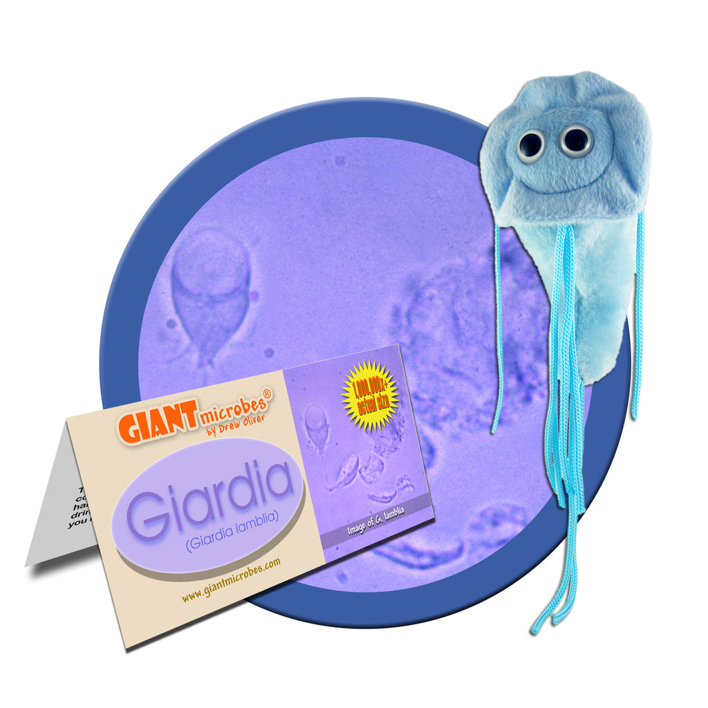 Giardia (Giardia lamblia) - GIANTmicrobes® Plush Toy Default Title - LabRatGifts - 1