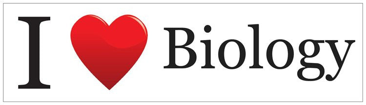 "I ♥ Biology" - Bumper Sticker Default Title - LabRatGifts
