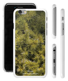 "Moss" - iPhone 6/6s Case  - LabRatGifts - 1