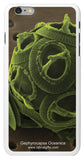 "Gephyrocapsa Oceanica" - iPhone 6/6s Plus Case Default Title - LabRatGifts - 2