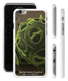 "Gephyrocapsa Oceanica" - iPhone 6/6s Case  - LabRatGifts - 1