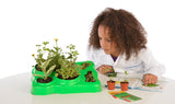 "Botany: Experimental Greenhouse" - Science Kit  - LabRatGifts - 4